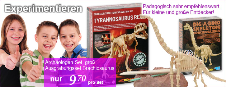 Arch&auml;ologen-Set Ausgrabungs-set Skelett Tyrannosaurus Rex Brachiosaurus