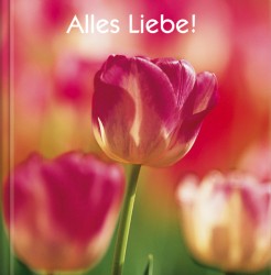 Weisheiten - Geschenkbuch Alles Liebe!