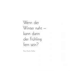 Weisheiten - Geschenkbuch Lichtblicke f�r dich!