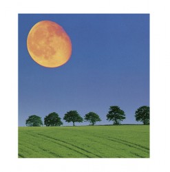 Weisheiten - Geschenkbuch Lebe deine Tr�ume!