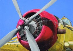 Poster Agrar-Flugzeug PZL-106